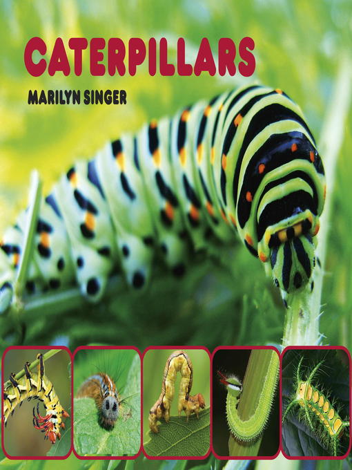 Title details for Caterpillars by Marilyn Singer - Available